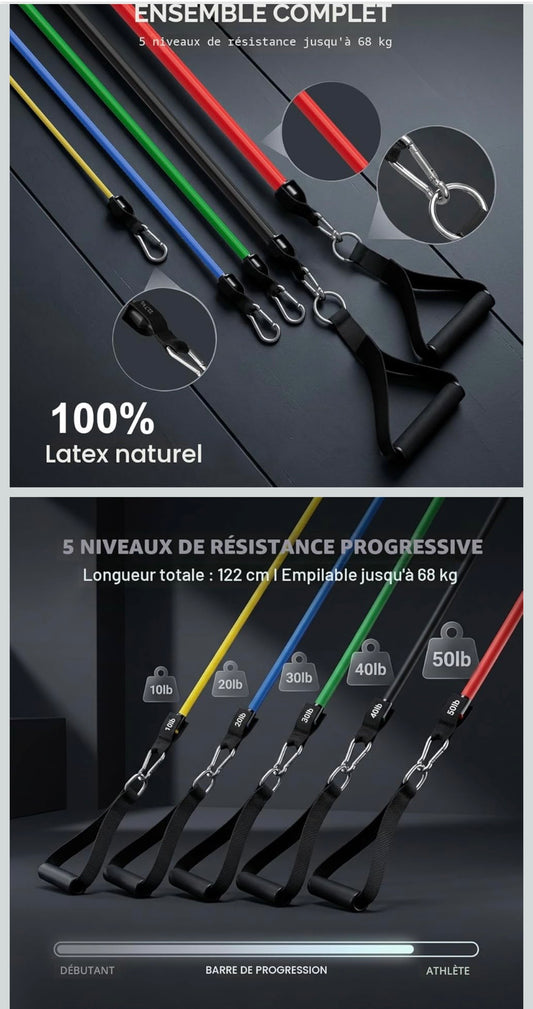 ZEFIT Resistance Bands Set – Full Body Home Workout Kit